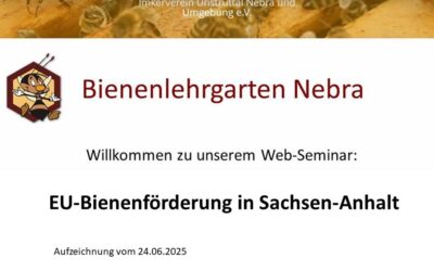 Web-Seminar „EU-Bienenförderung in Sachsen-Anhalt“ am 24.06.2025