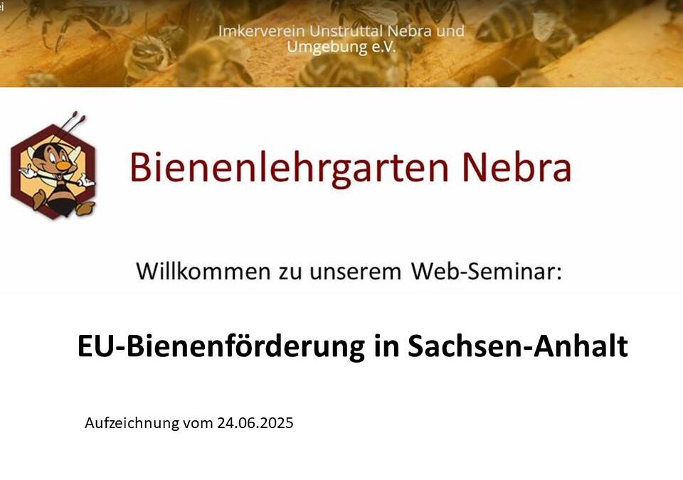 Web-Seminar „EU-Bienenförderung in Sachsen-Anhalt“ am 24.06.2025