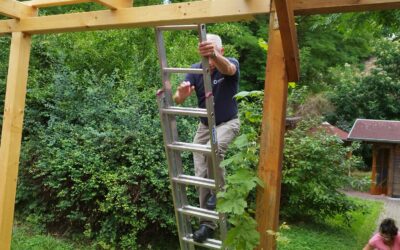Neuer Glanz für den Weg zum historischen Bienenstand