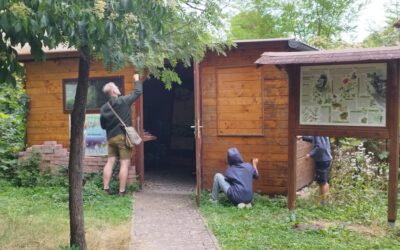 Arbeitseinsatz im August