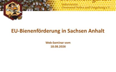 Web-Seminar „EU-Bienenförderung in Sachsen-Anhalt“ am 18.08.2026