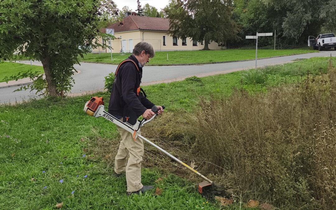 Blühwiese des Bienenlehrgarten in Nebra – Warum wir in diesem Herbst mähen mussten.