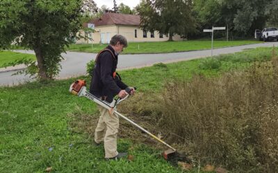 Blühwiese des Bienenlehrgarten in Nebra – Warum wir in diesem Herbst mähen mussten.